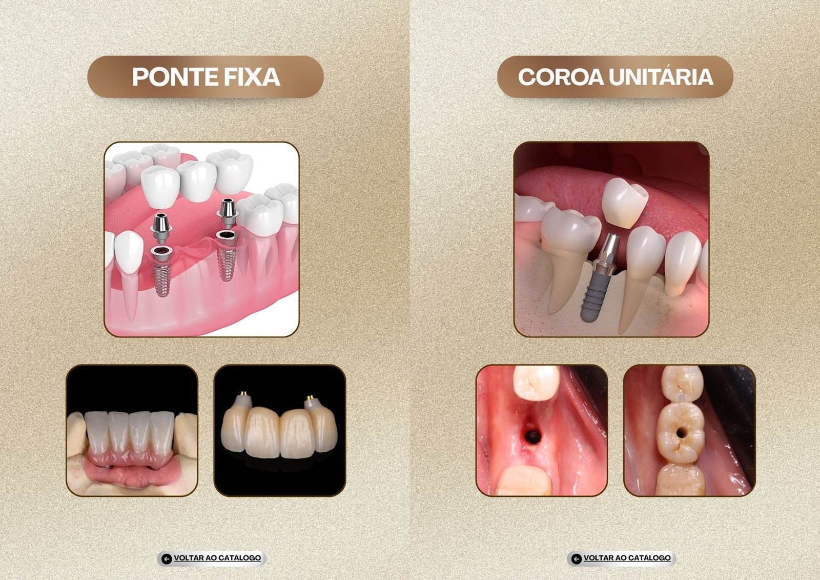 Odonto Slide Pro — slide 3