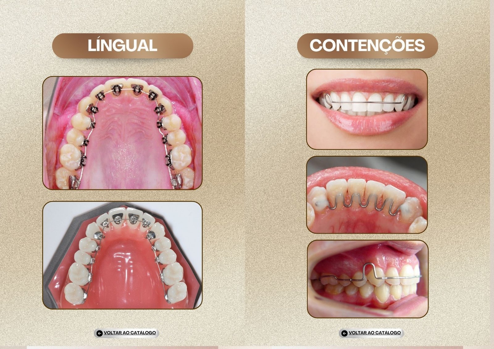 Odonto Slide Pro — slide 4